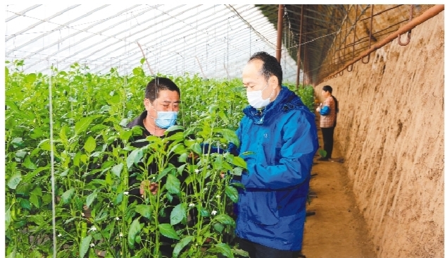 辽宁日报报道6年接力圆了村民脱贫梦记省税务局派驻义县张家堡镇扶贫
